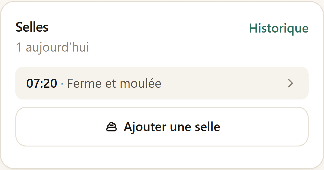 Section Selles de l’écran du jour : les entrées du jour avec leur échantillon de couleur.
